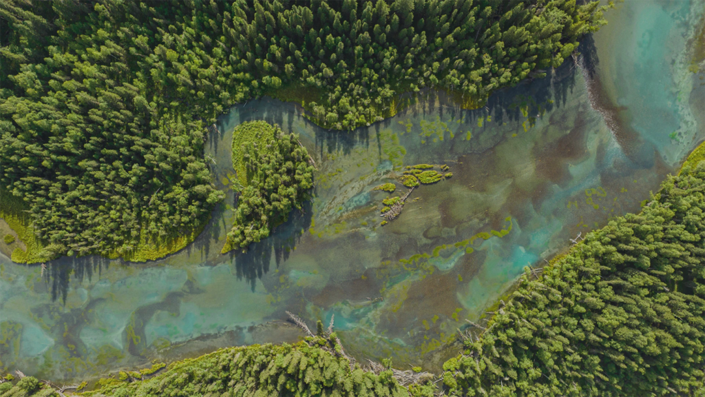 EPA Policy Revisions in 2025: Scope, Stakeholders, and Implications