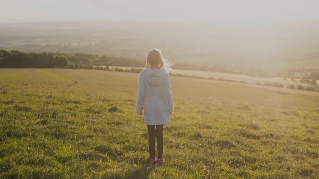 British Solar at Record Highs: Balancing a Low-Wind Year