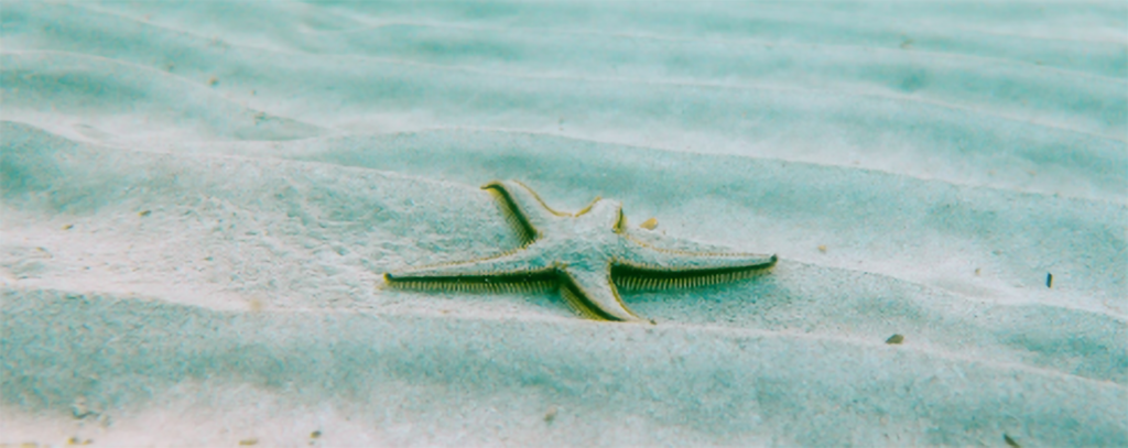 UN SDG 7: Powering Progress Through Sustainable Energy Access