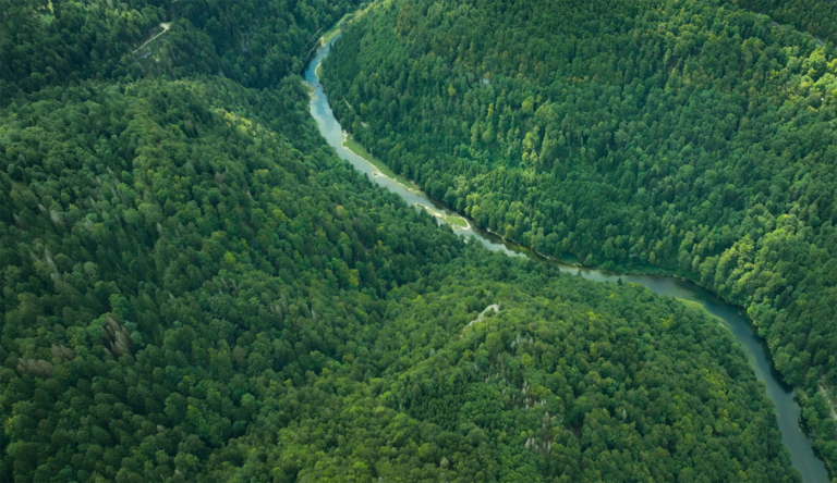 NZero’s Environmental Sustainability Report 2023